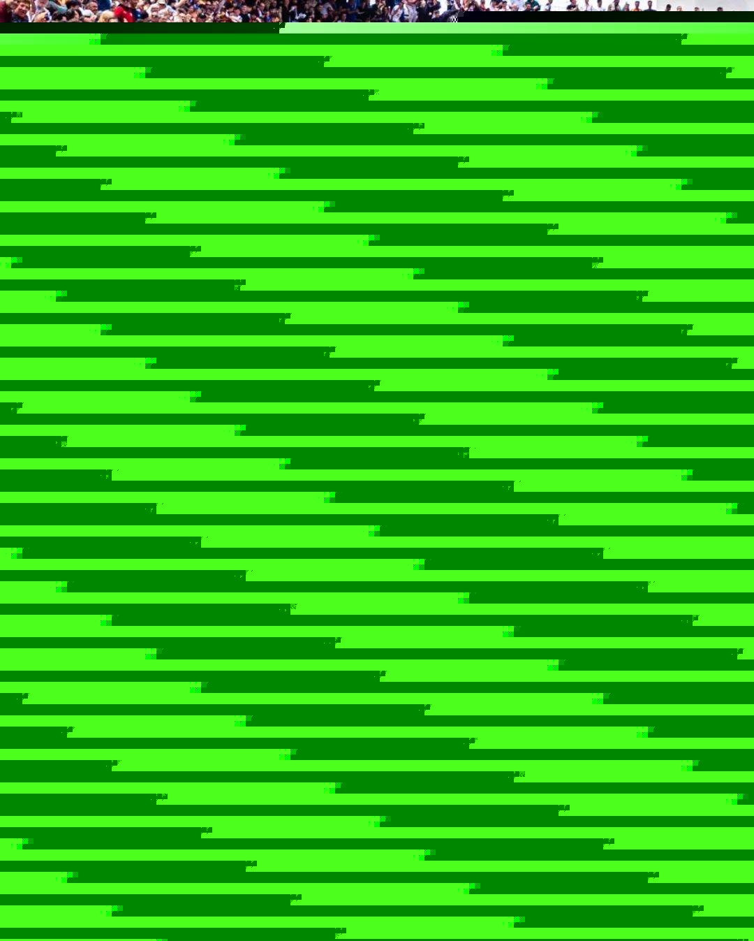 样化的风格 样化的风格