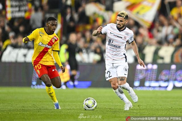 泰在促进体 泰在促进体