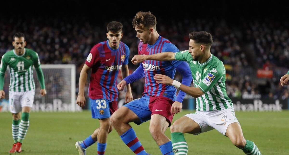 亮点之一是 亮点之一是