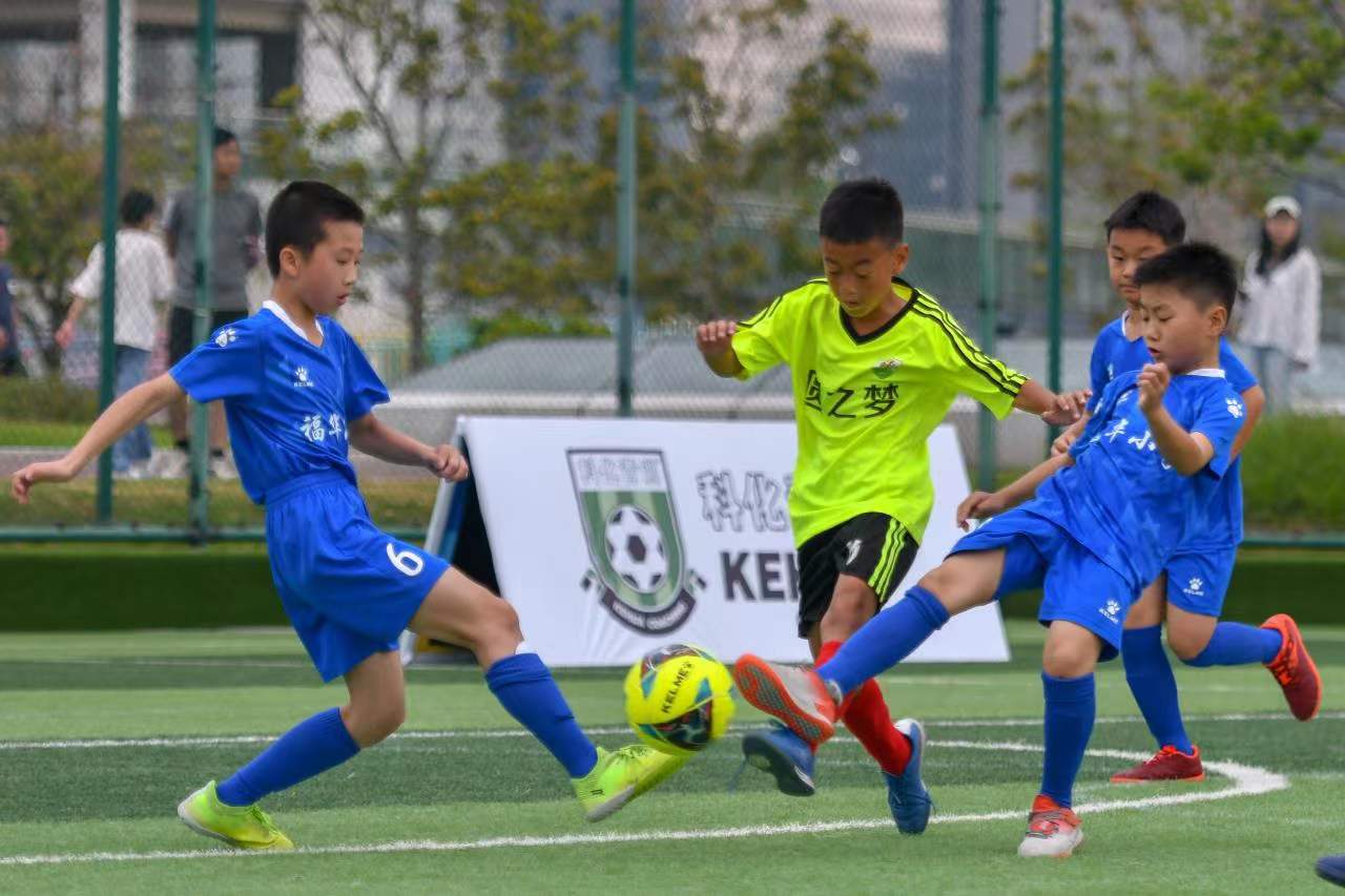 篮球联赛的 篮球联赛的