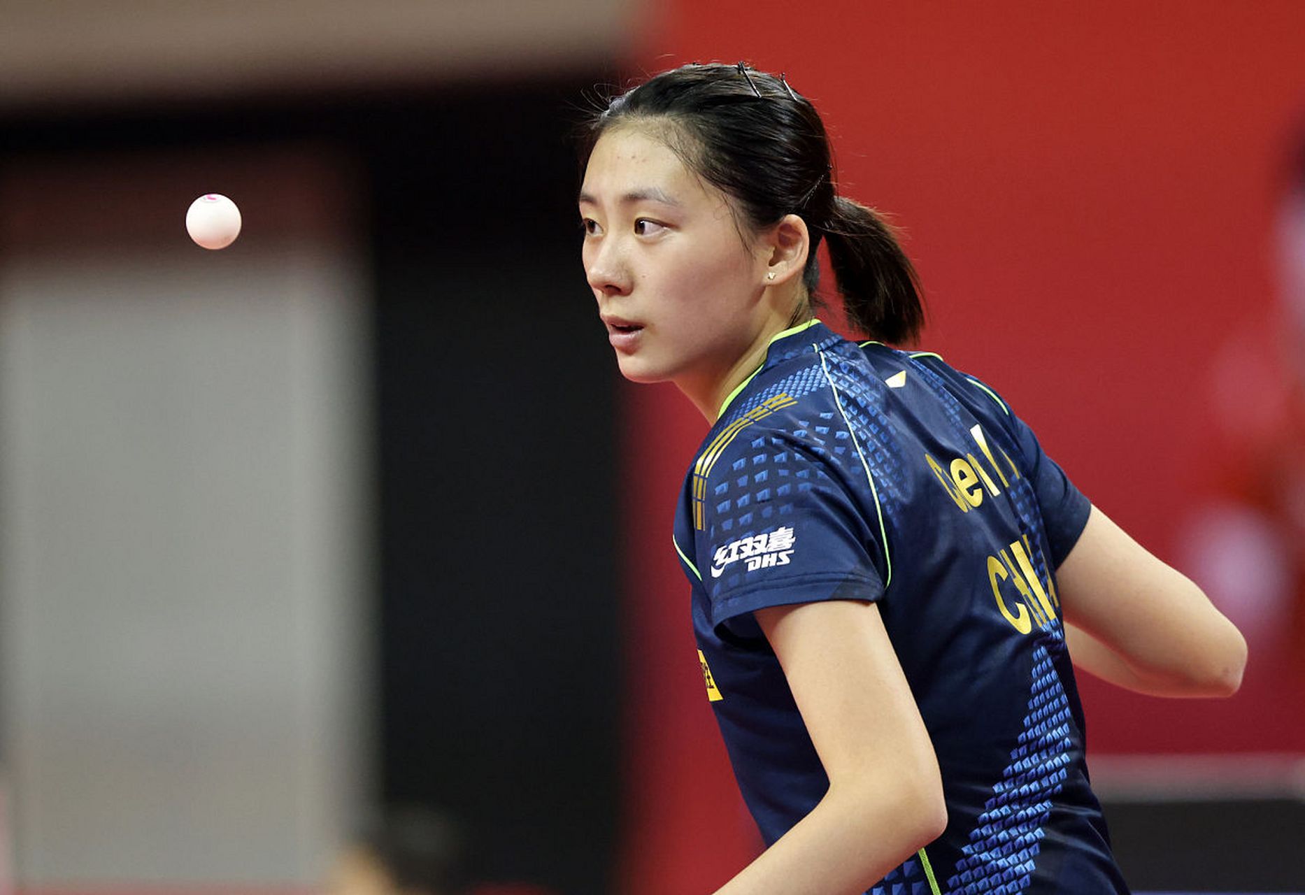 高的球员 高的球员